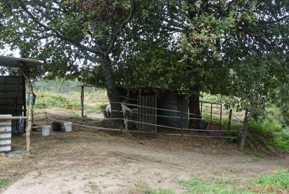 Finca Rústica en Venta en Gondomar