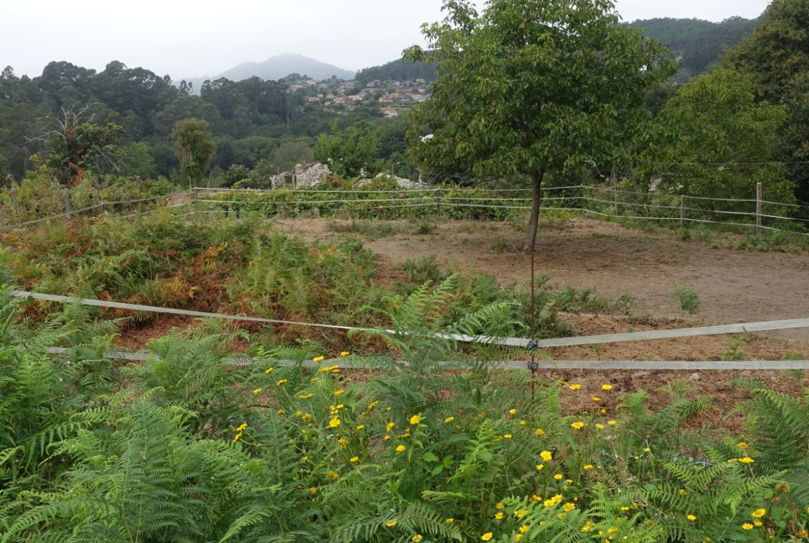 Finca Rústica en Venta en Gondomar