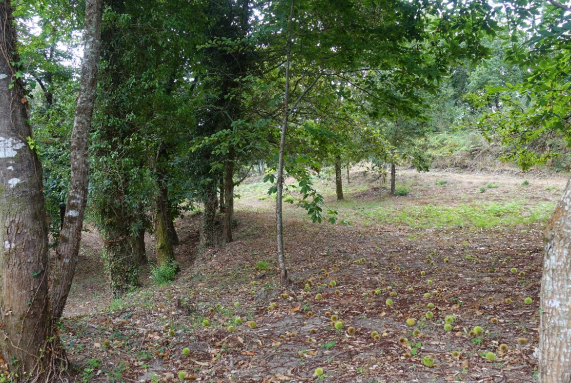 Finca Rústica en Venta en Gondomar
