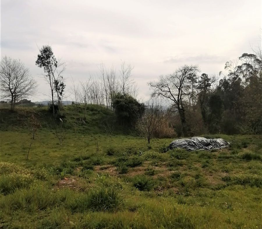 Solar en Venta en Mondariz