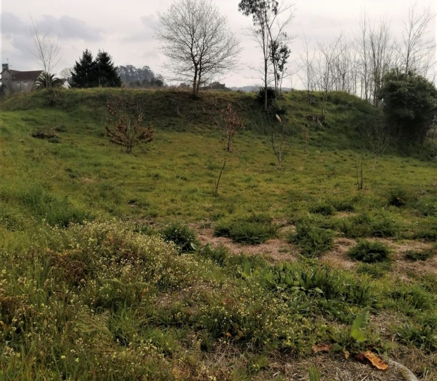 Solar en Venta en Mondariz