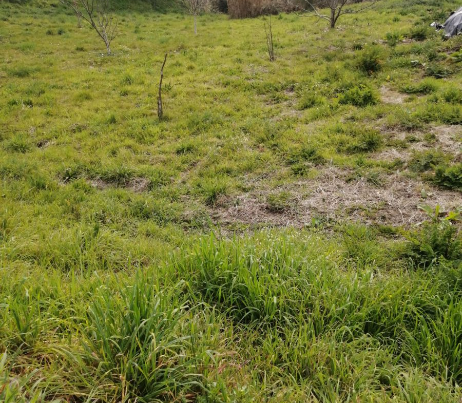 Solar en Venta en Mondariz