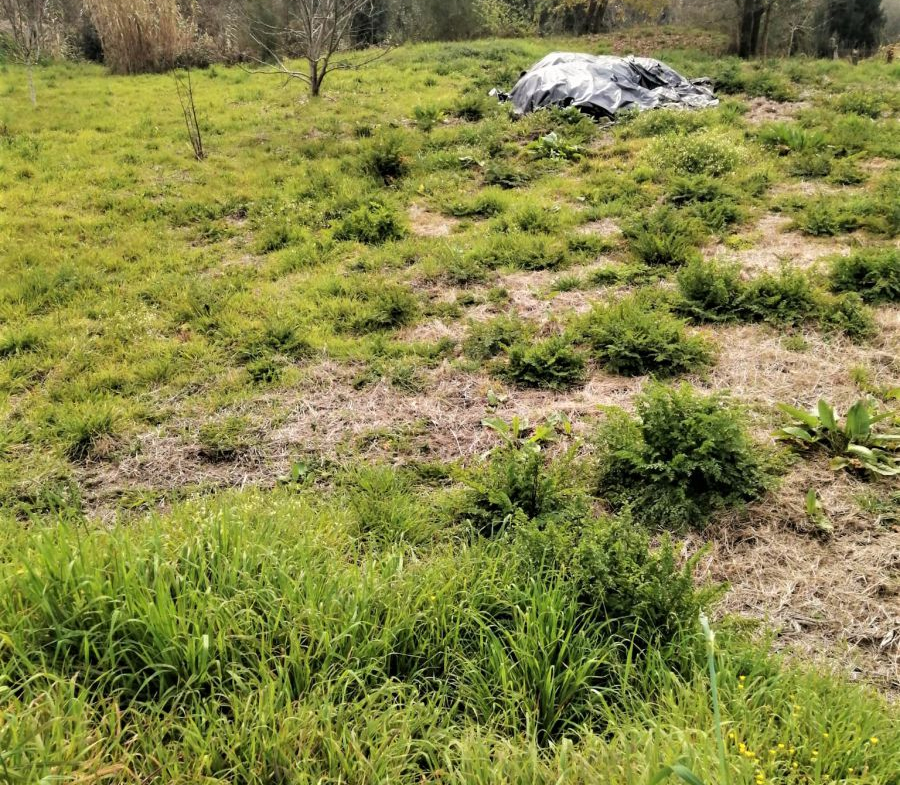 Solar en Venta en Mondariz