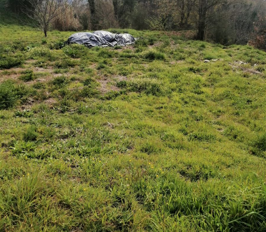 Solar en Venta en Mondariz