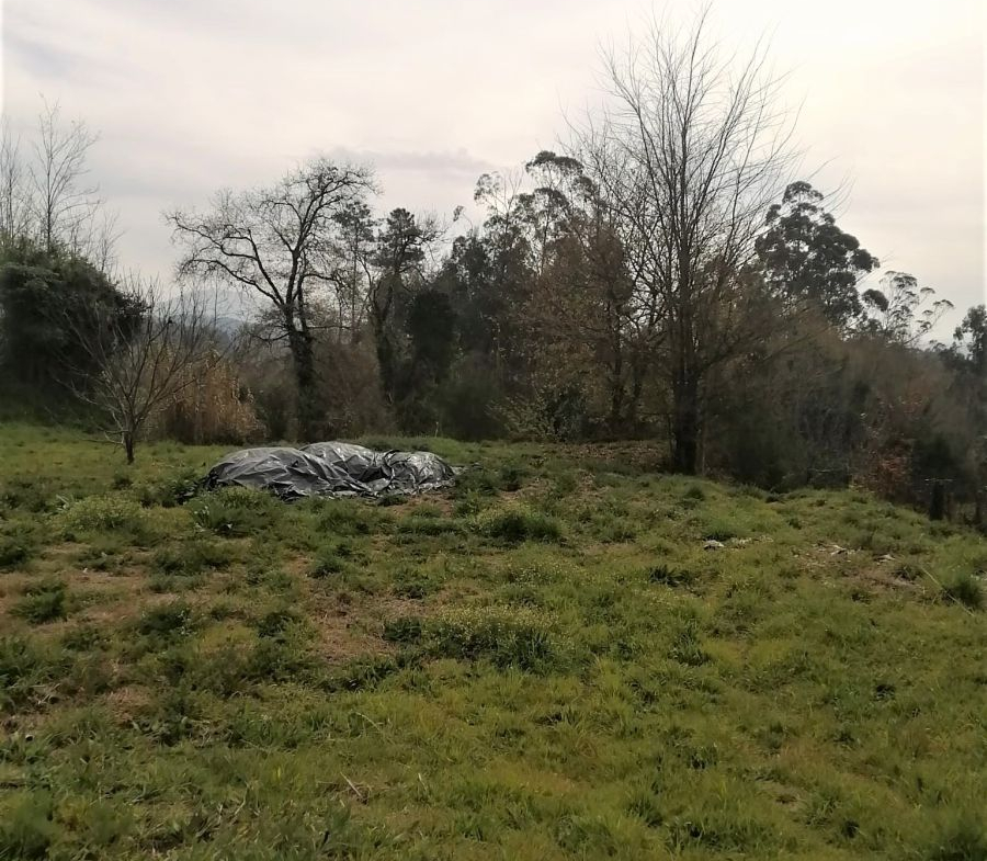 Solar en Venta en Mondariz