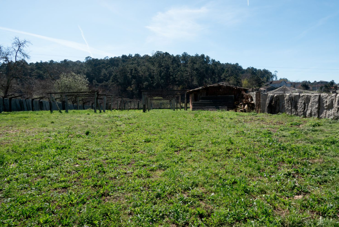 Chalet en Venta en Salceda De Caselas
