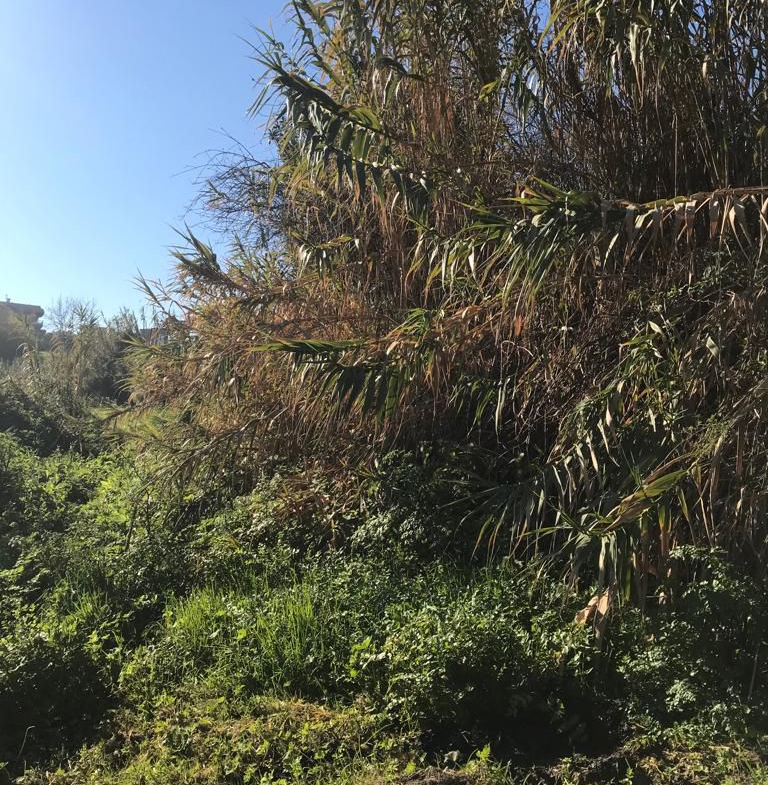 Finca Rústica en Venta en Vigo
