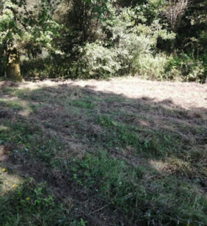Solar en Venta en Porriño (O)