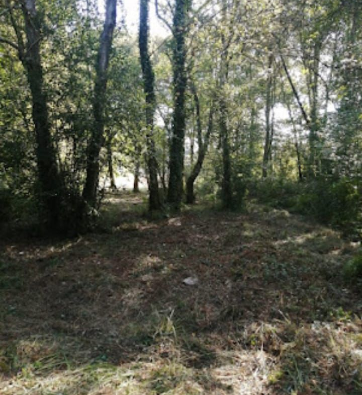 Solar en Venta en Porriño (O)
