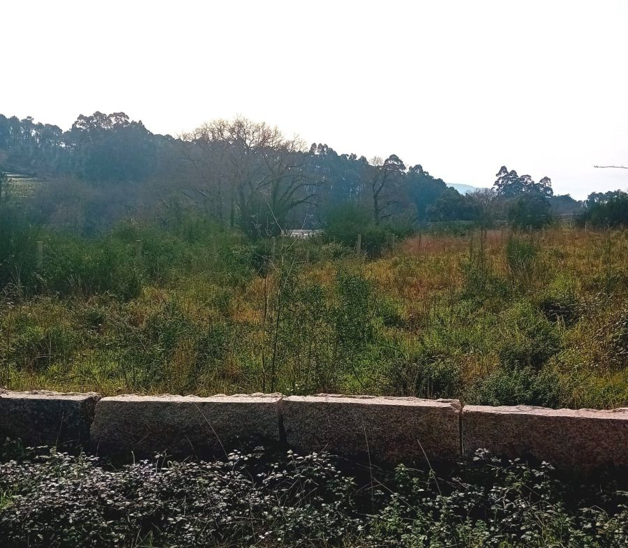 Solar en Venta en Rosal (O)