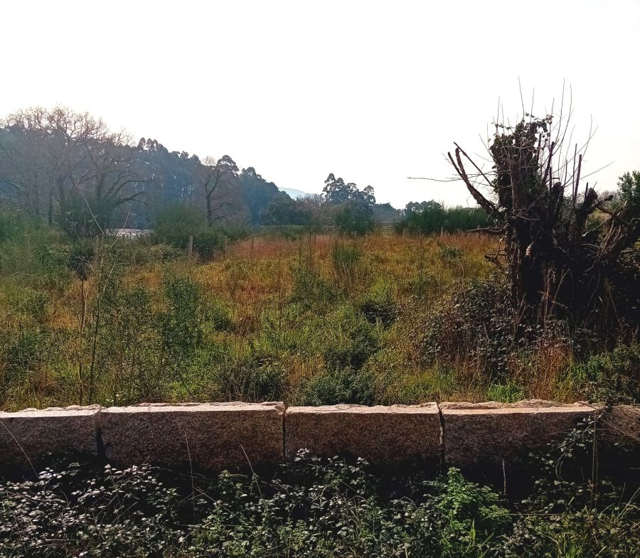 Solar en Venta en Rosal (O)