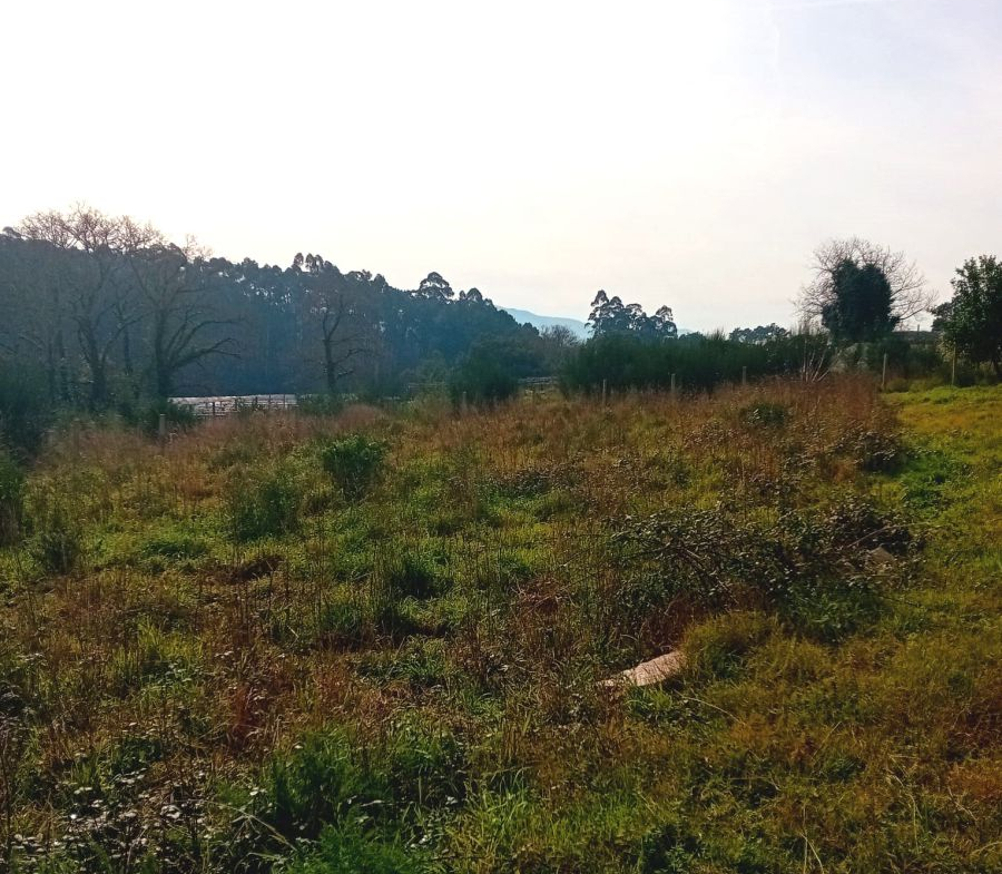 Solar en Venta en Rosal (O)