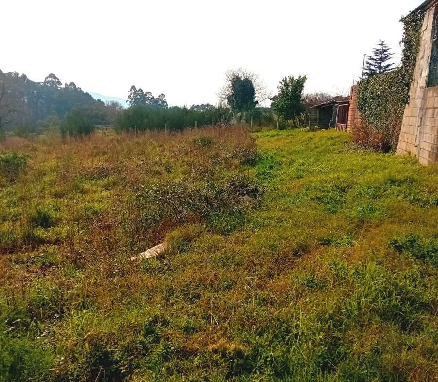 Solar en Venta en Rosal (O)