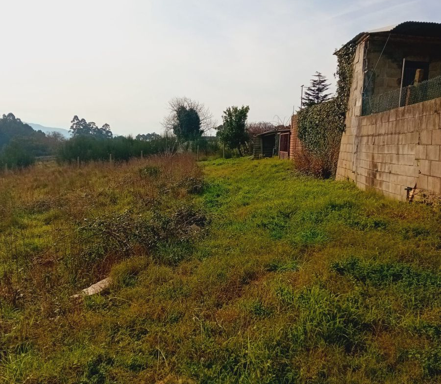 Solar en Venta en Rosal (O)