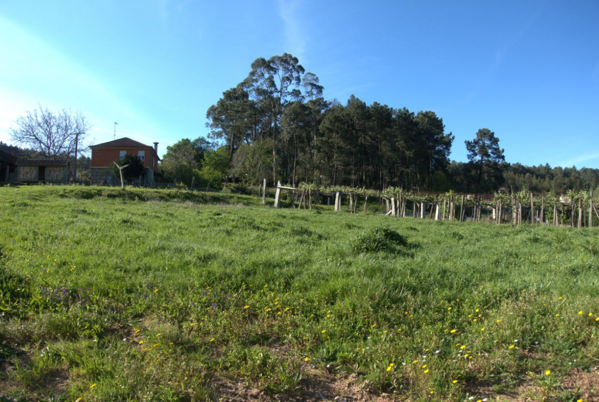 Solar en Venta en Salceda De Caselas