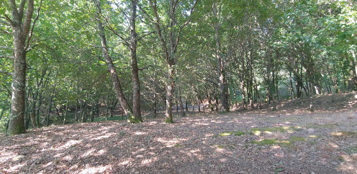 Finca Rústica en Venta en Crecente