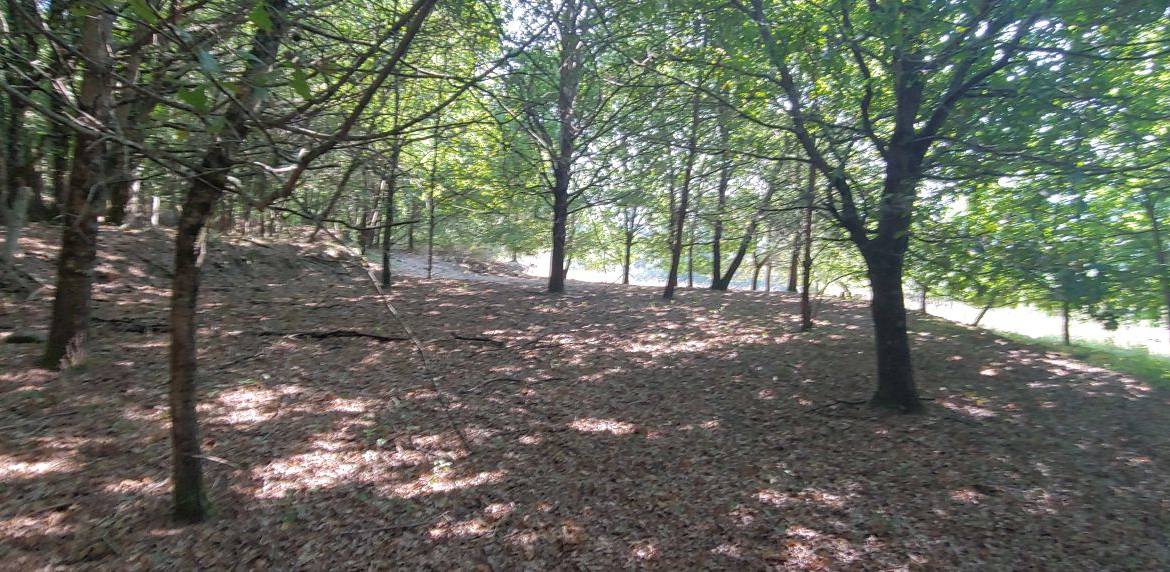 Finca Rústica en Venta en Crecente