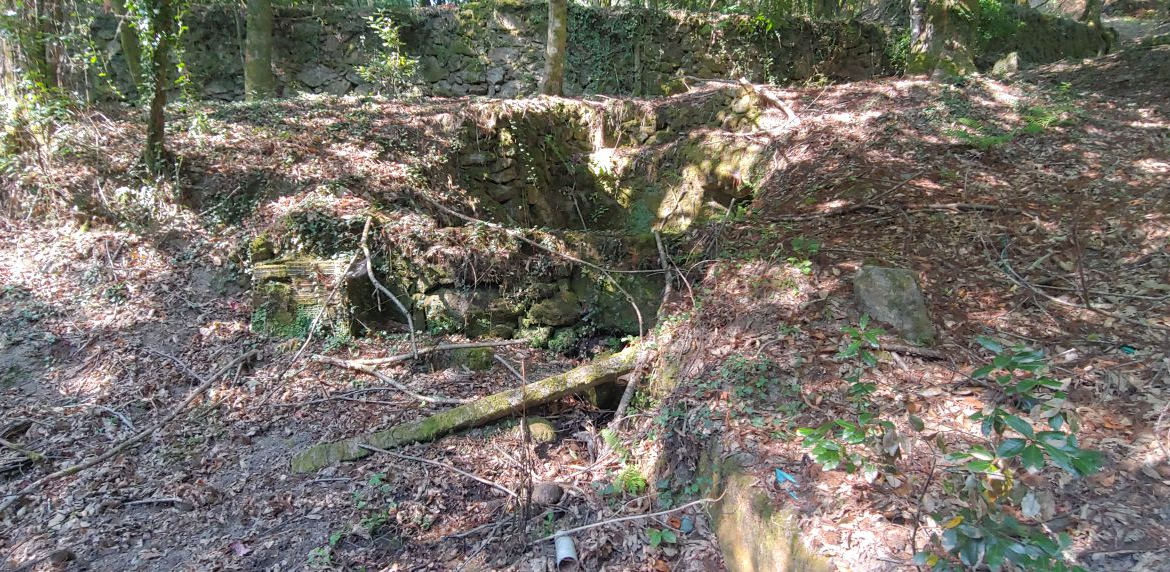 Finca Rústica en Venta en Crecente