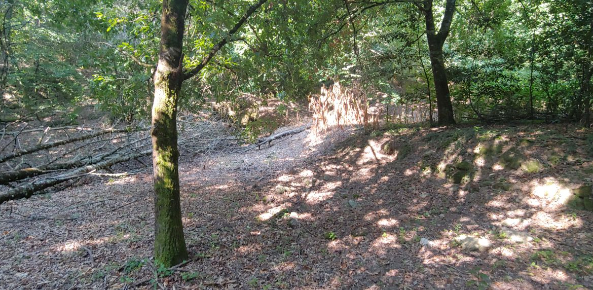 Finca Rústica en Venta en Crecente