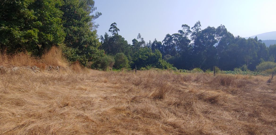 Finca Rústica en Venta en Crecente