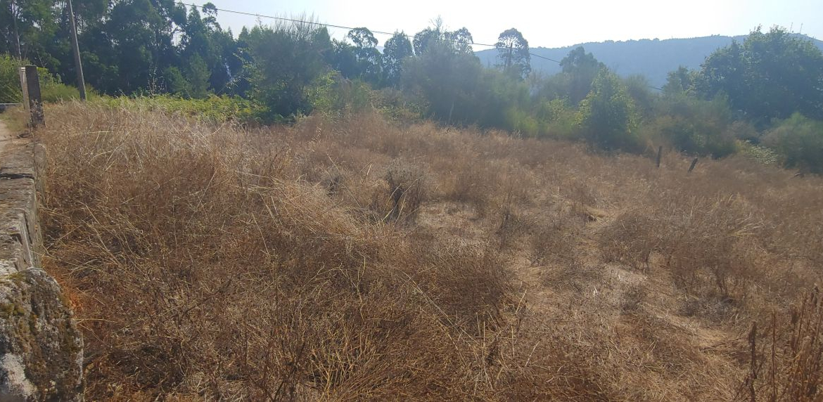 Finca Rústica en Venta en Crecente