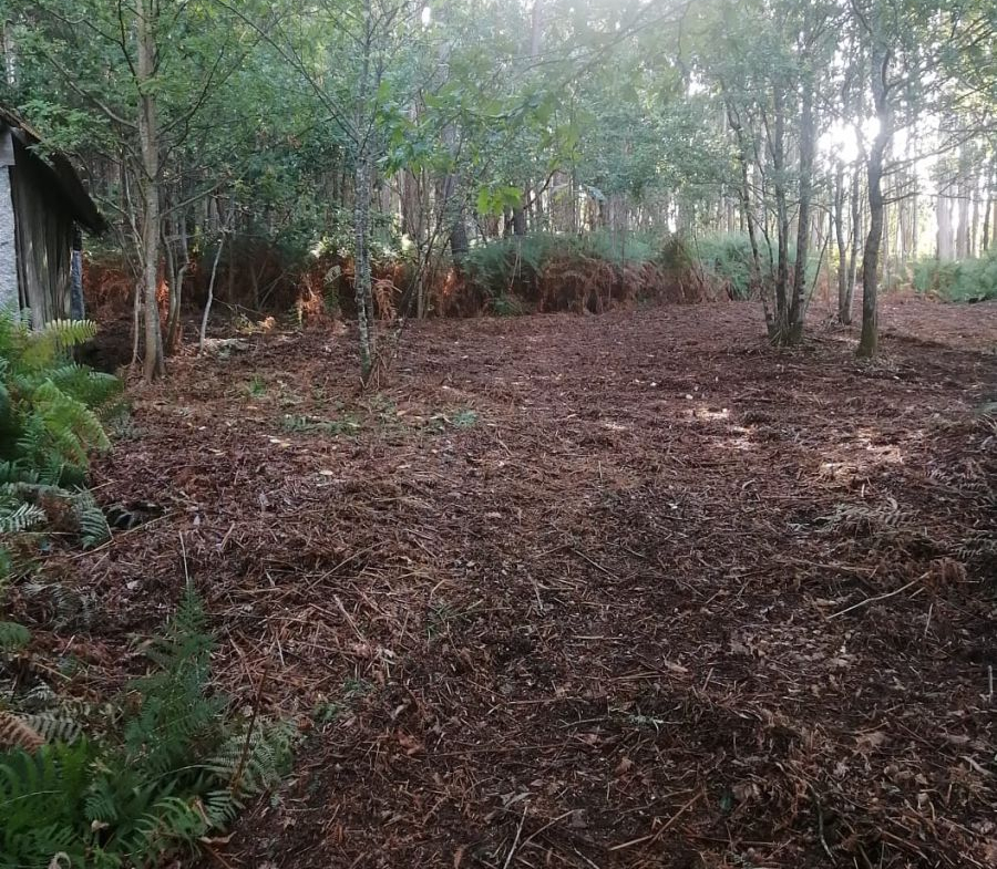 Finca Rústica en Venta en Ponteareas