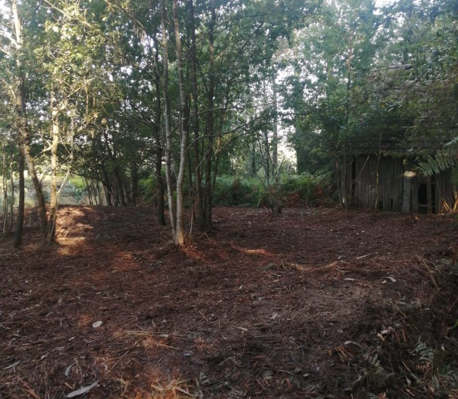 Finca Rústica en Venta en Ponteareas