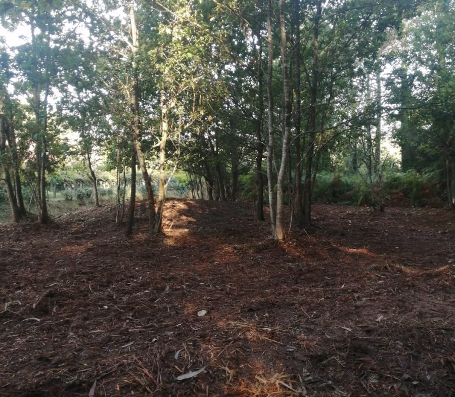 Finca Rústica en Venta en Ponteareas