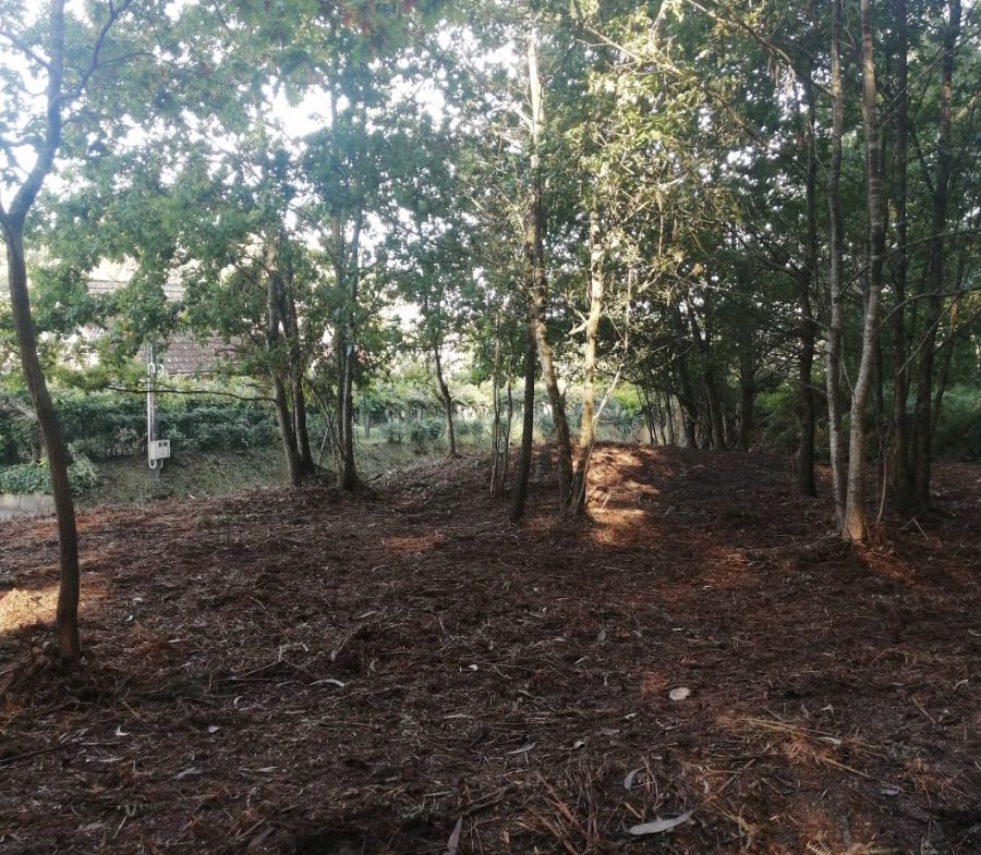 Finca Rústica en Venta en Ponteareas