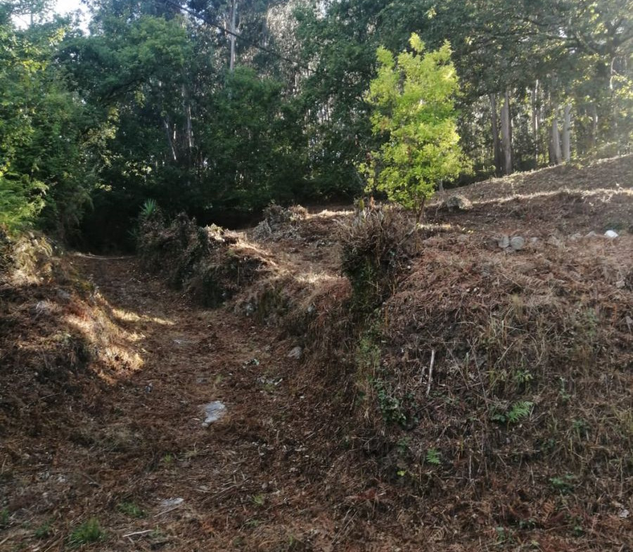 Finca Rústica en Venta en Ponteareas