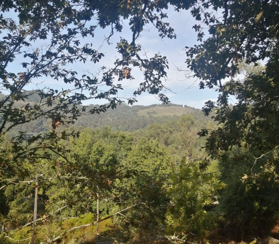Finca Rústica en Venta en Ponteareas