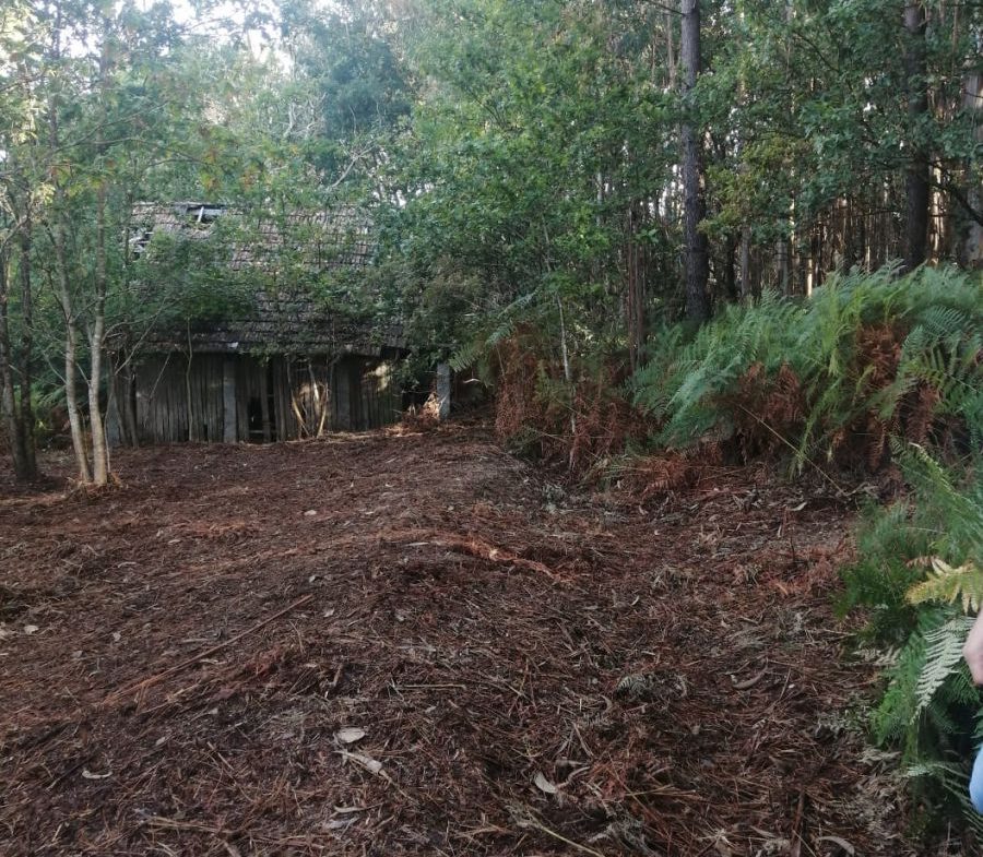Finca Rústica en Venta en Ponteareas