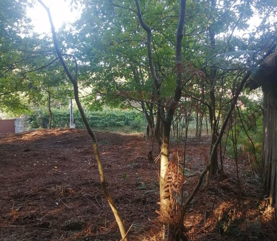 Finca Rústica en Venta en Ponteareas