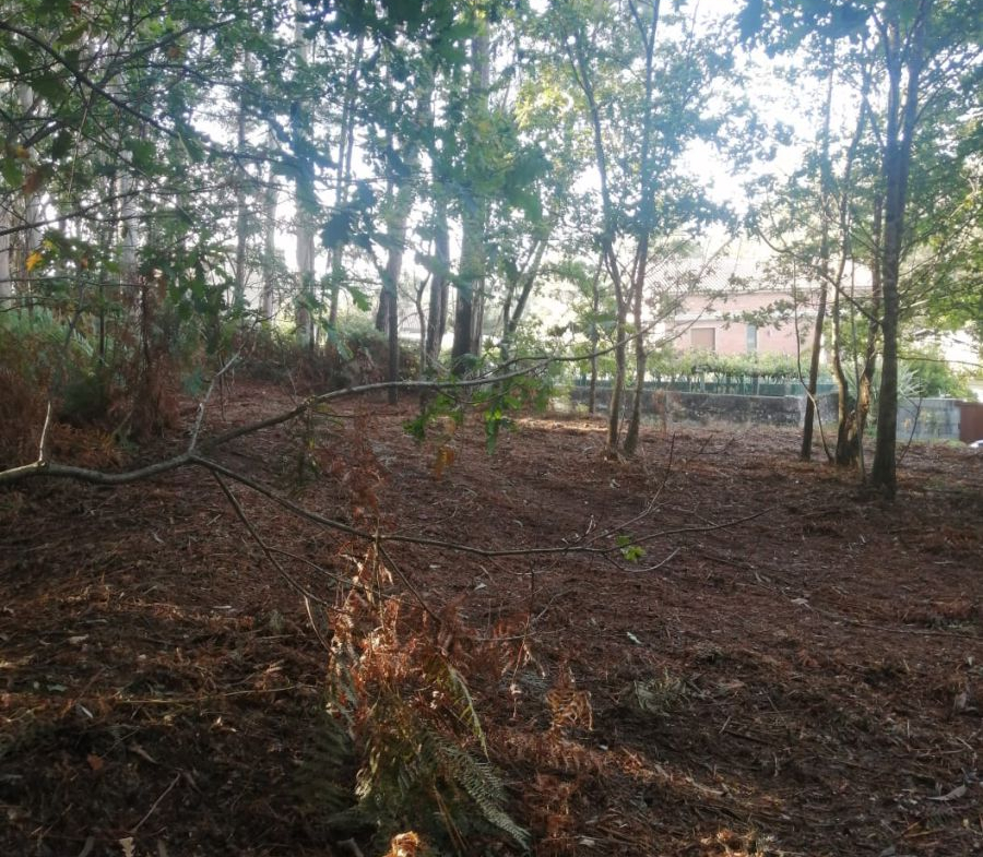 Finca Rústica en Venta en Ponteareas
