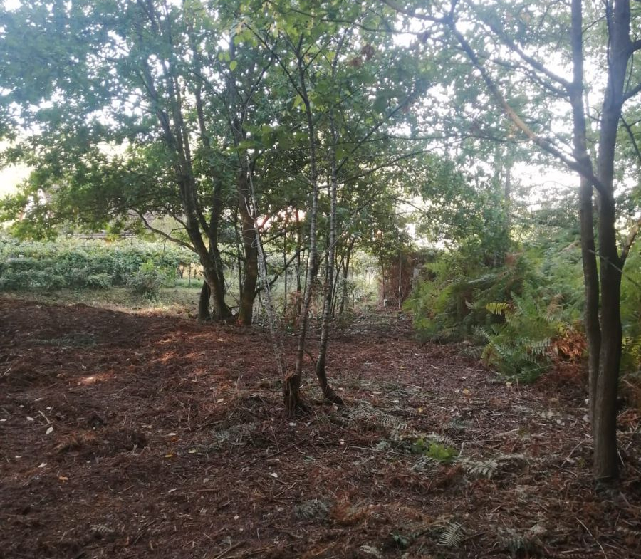 Finca Rústica en Venta en Ponteareas