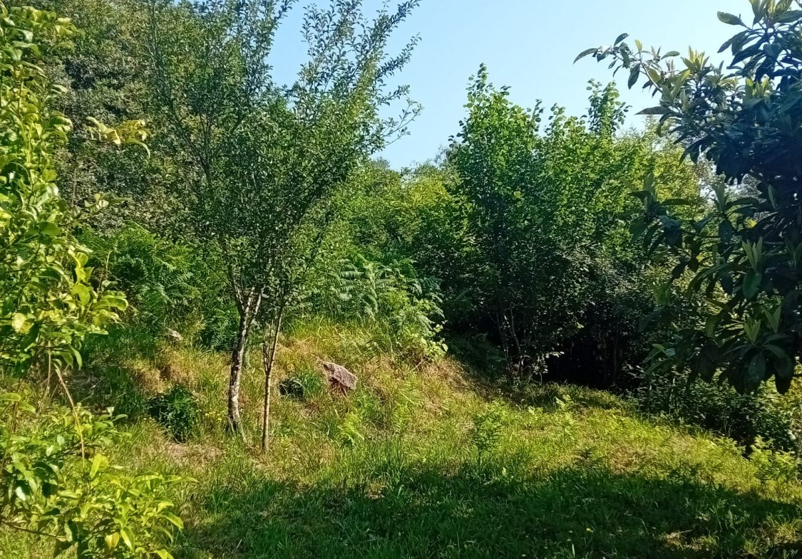 Casa en Venta en Tui