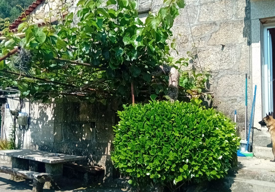 Casa en Venta en Tui