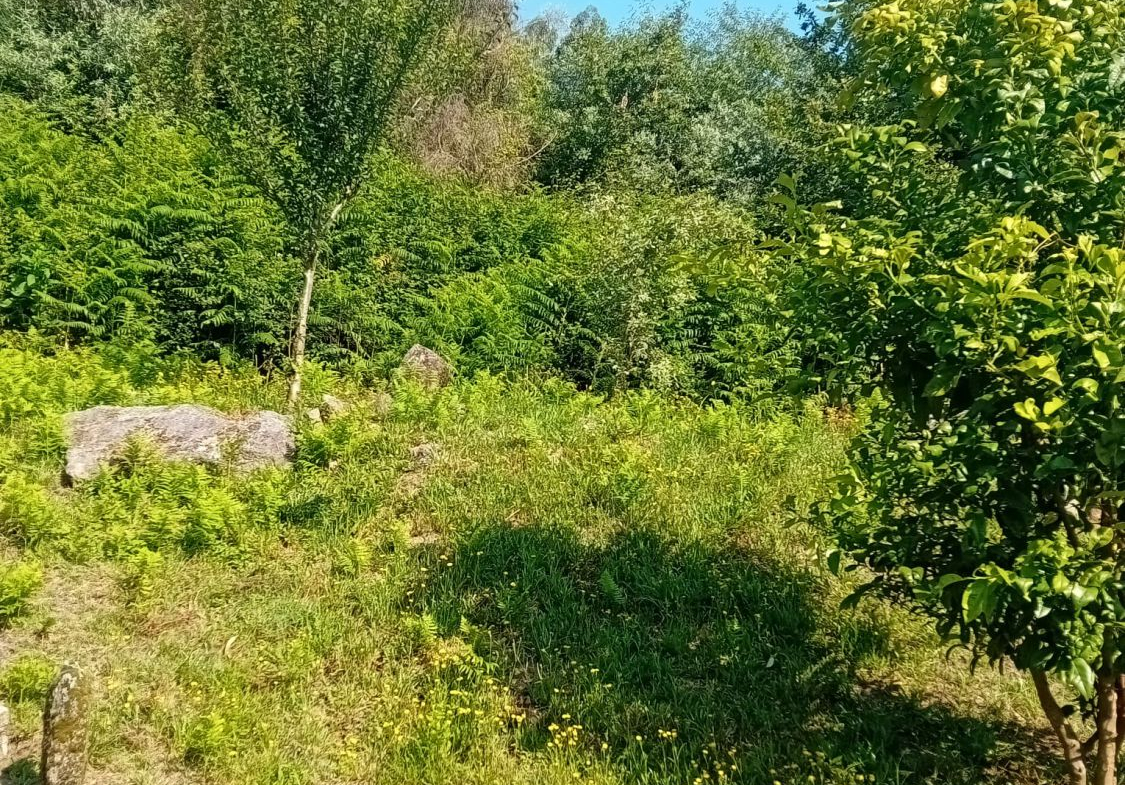 Casa en Venta en Tui