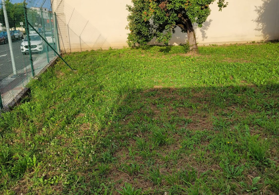 Solar en Venta en Naron