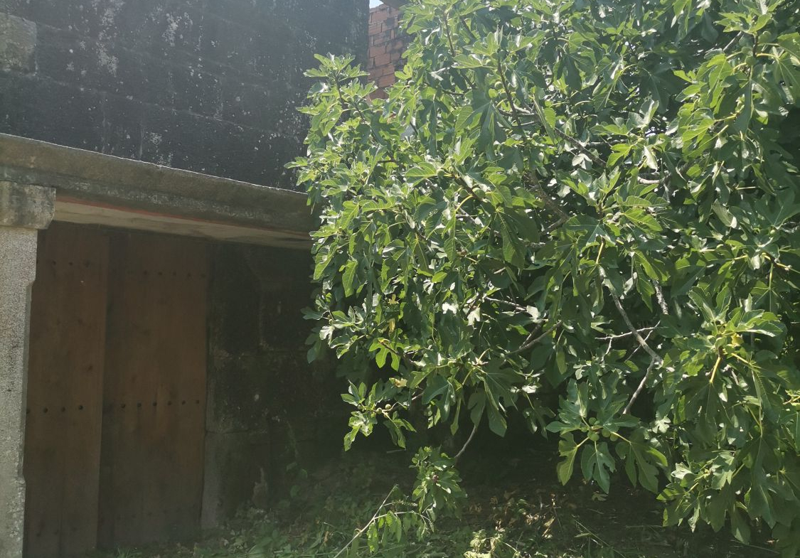 Casa en Venta en Ponteareas