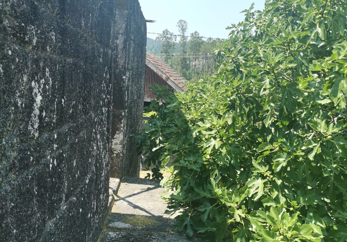 Casa en Venta en Ponteareas