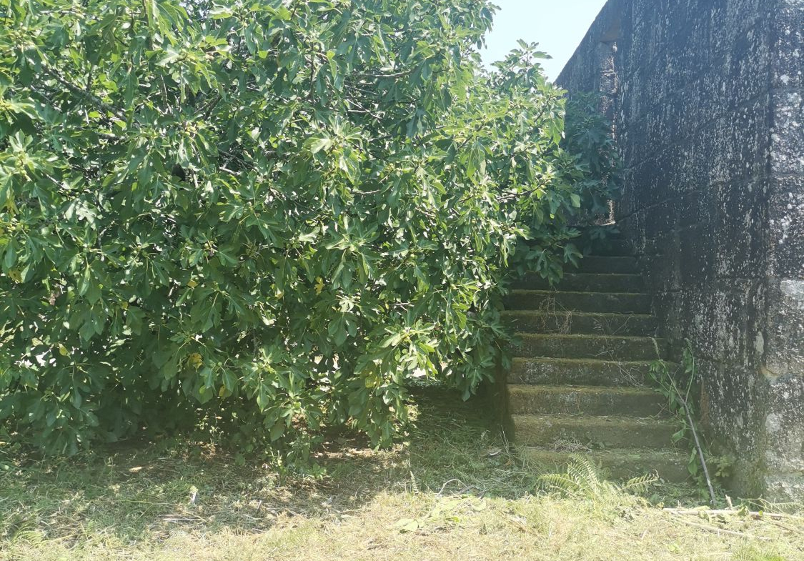 Casa en Venta en Ponteareas