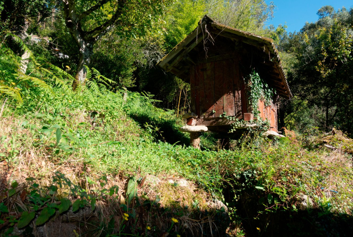 Casa en Venta en Covelo (O)