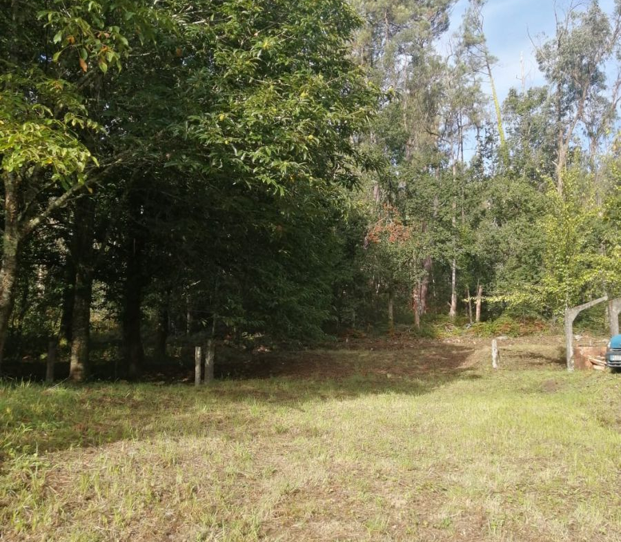 Solar en Venta en Ponteareas