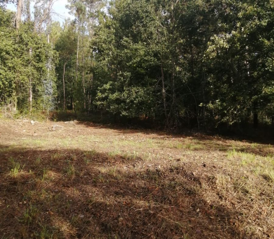 Solar en Venta en Ponteareas