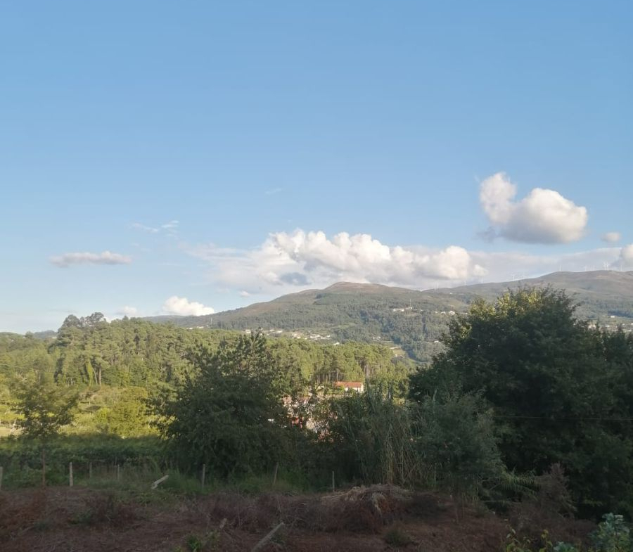 Casa en Venta en Arbo