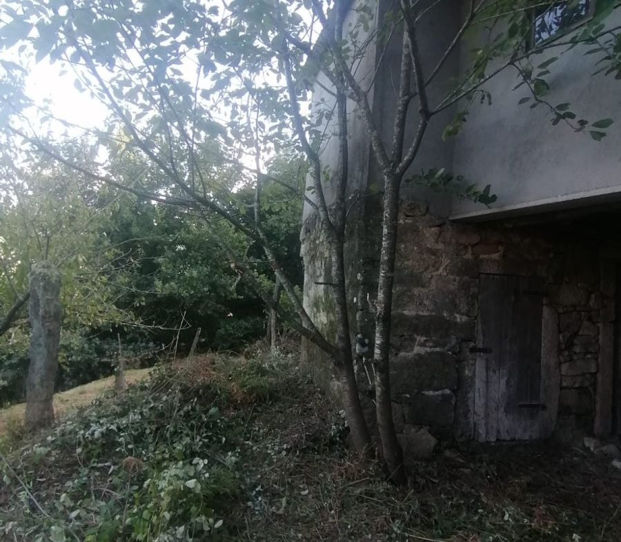 Casa en Venta en Arbo