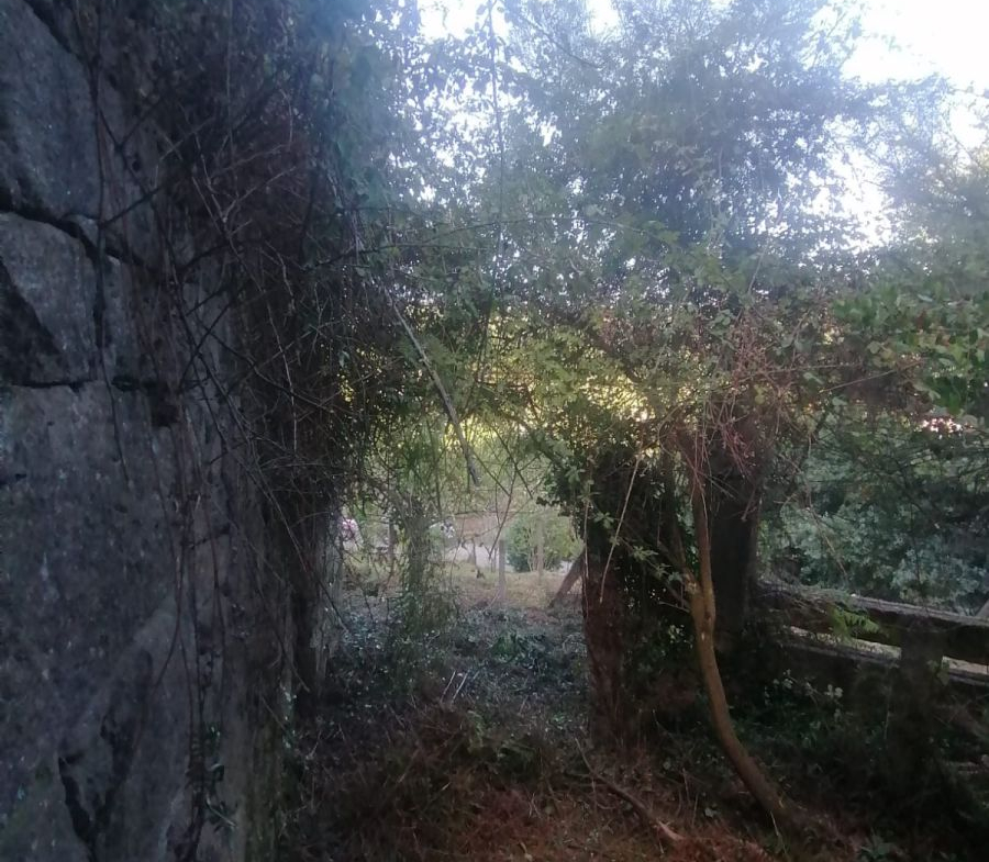 Casa en Venta en Arbo