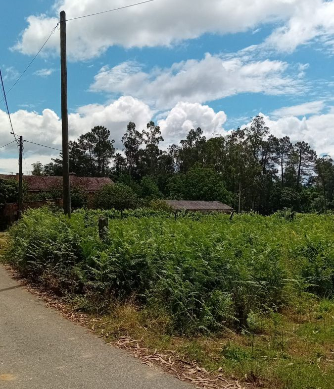 Solar en Venta en Salvaterra De Miño