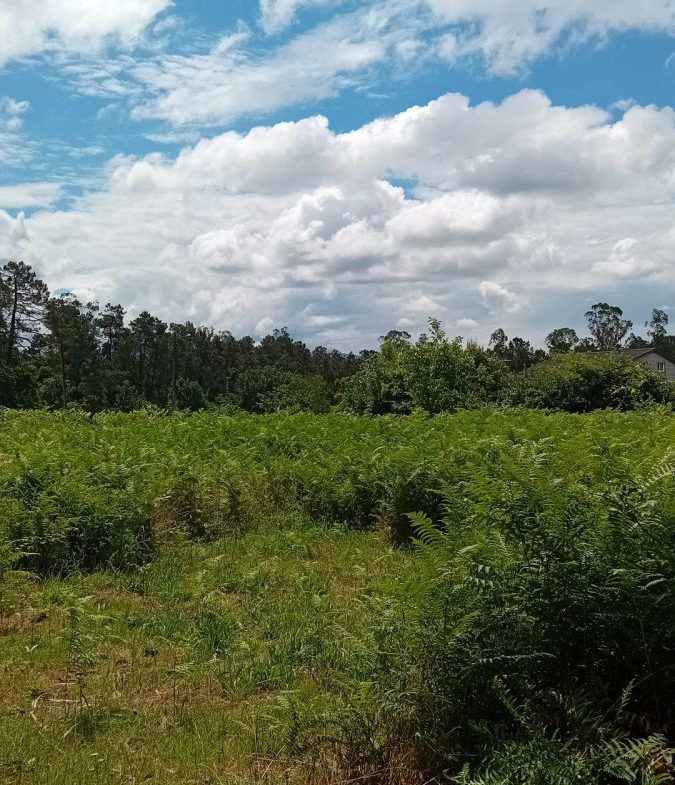 Solar en Venta en Salvaterra De Miño